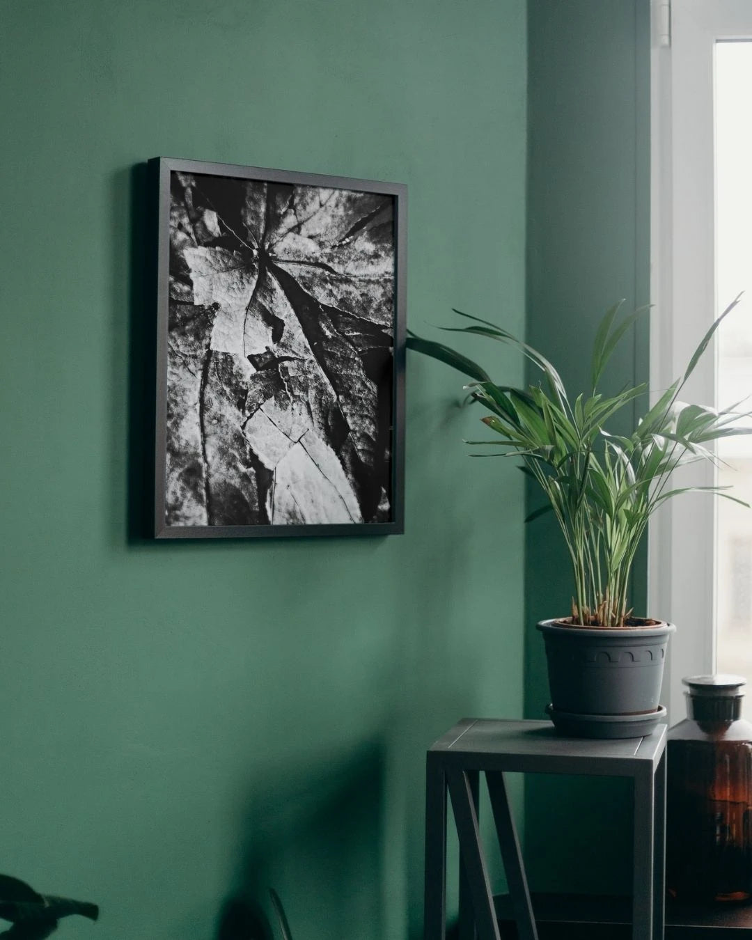 Black and White Leaf Macro Print – Digital Art Lahore